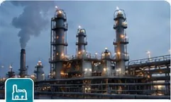 Manufacturing / Process Plants